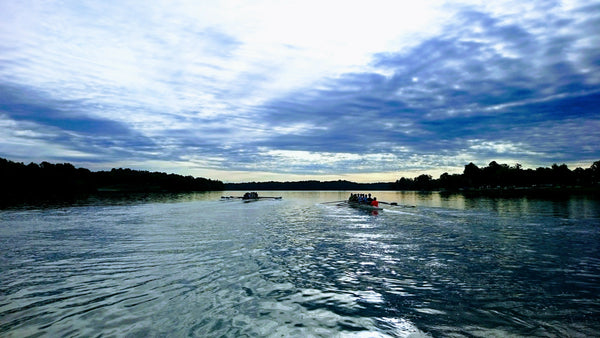 Rowing - The Therapy We Need In Our Lives